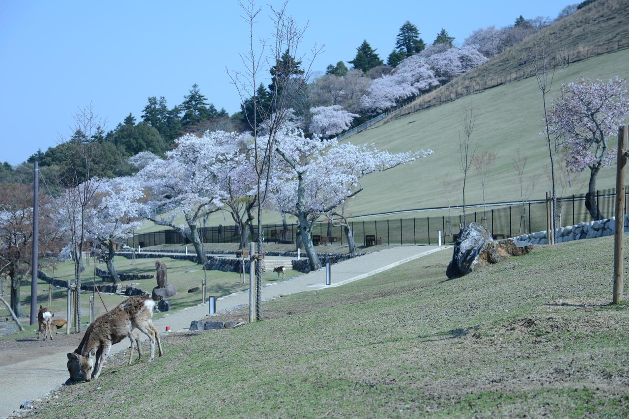 Mountain Home Lodge In Deer Park Nara Esterno foto