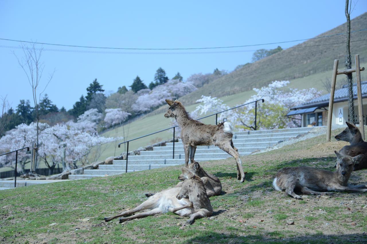 Mountain Home Lodge In Deer Park Nara Esterno foto
