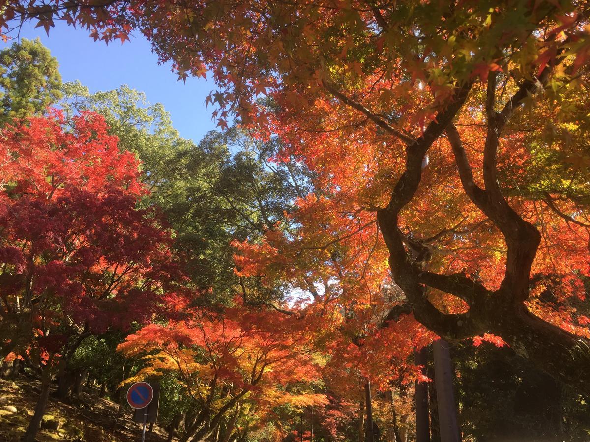 Mountain Home Lodge In Deer Park Nara Esterno foto